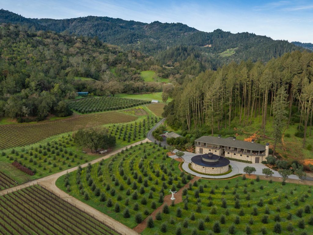 Marciano Estate Winery, St. Helena, CA. Drone aerial photo by Jason Tinacci