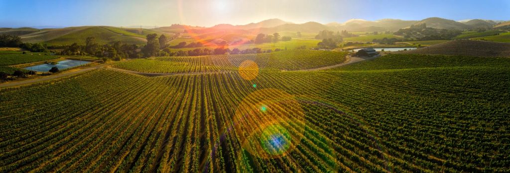 Winery Drone Photography in Sonoma and Napa Valley by TrellisAerial Productions